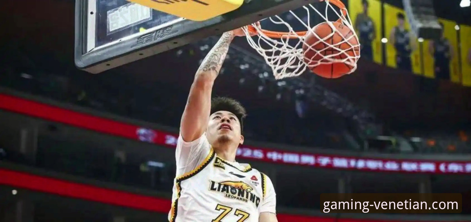 揭秘上海男篮12连胜背后的“团队攻势”密码：新手如何在威尼斯人官网看懂门道